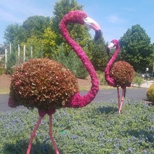 Meet your Posher, Claudia